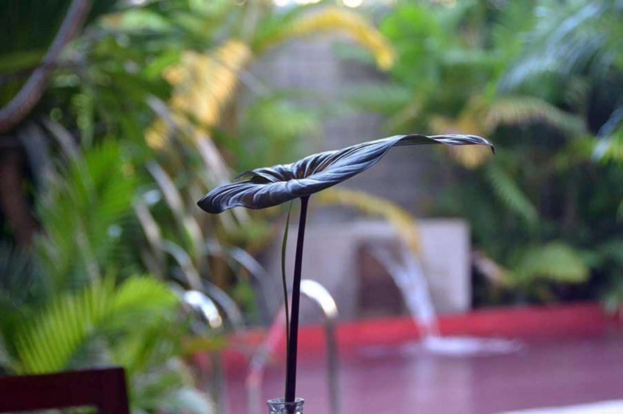 Tranquil Villa Phnom Penh Exterior foto